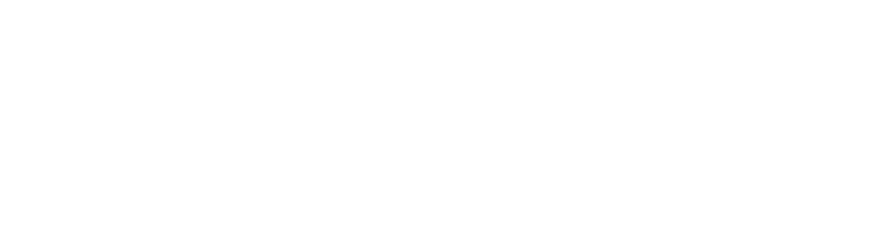 ADSOL LOGO 2024